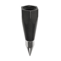Pole Shoe Assembly Prism