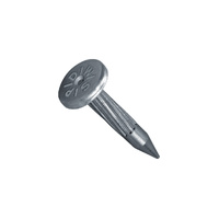 Masonry Nails 25mm 100 Pack 